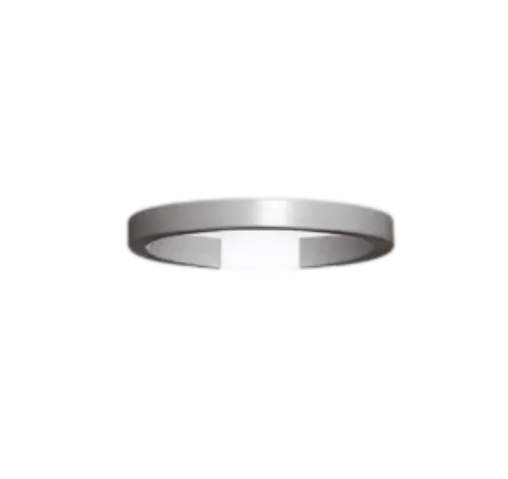 Piston Retainer Ring